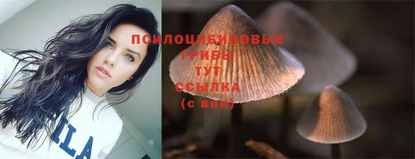 прущая мука Снежинск